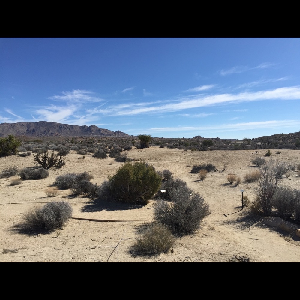 Meet your Posher, Gary